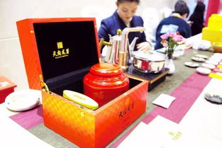 中国国际名酒文化节 酒茶融合 更宜宾